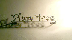 PIumTree-�_�[�c�o�[-